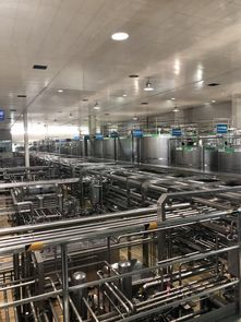 蒙牛工廠迎全球GDP代表參觀，以企業(yè)智慧夯實合作共贏之基