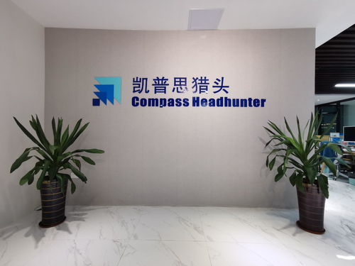 廣東凱普思企業(yè)管理咨詢 賦能企業(yè)，驅動卓越成長